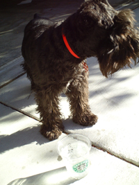 Spencer Loves Cold Water