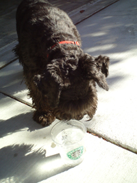 Spencer Loves Cold Water